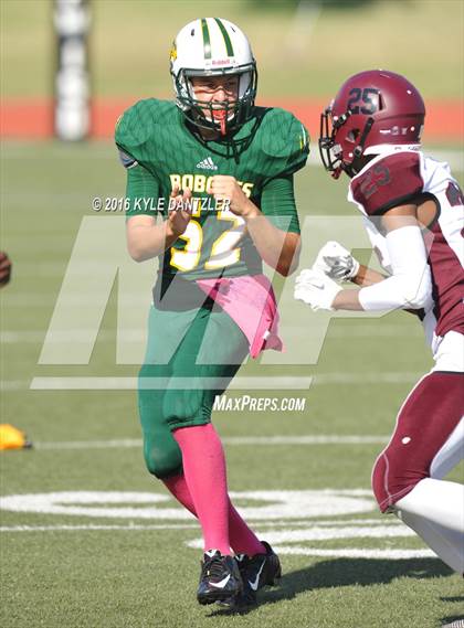 Thumbnail 3 in Hillsboro @ Benbrook photogallery.