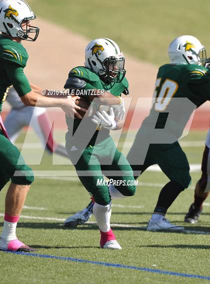 Thumbnail 1 in Hillsboro @ Benbrook photogallery.