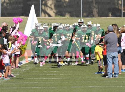 Thumbnail 2 in Hillsboro @ Benbrook photogallery.