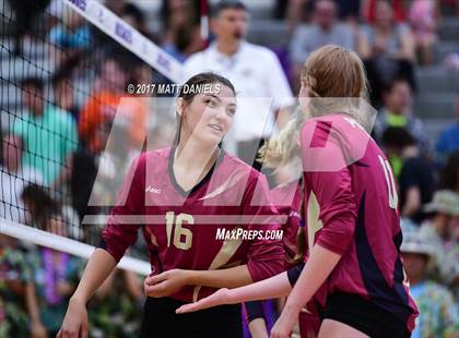 Thumbnail 1 in Ponderosa @ Douglas County photogallery.