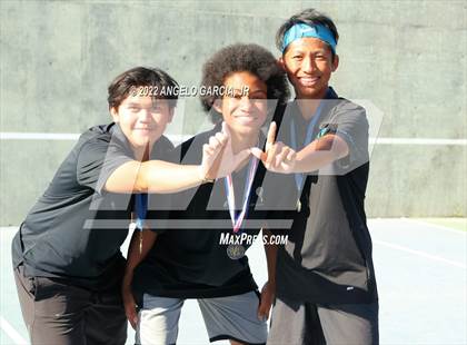 Thumbnail 1 in Bay Valley Athletic League Tennis Championship photogallery.