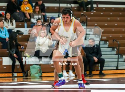 Thumbnail 3 in Monroe @ Crespi photogallery.