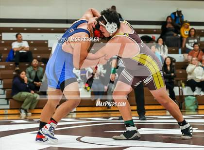 Thumbnail 1 in Monroe @ Crespi photogallery.