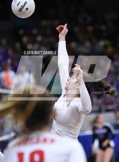 Thumbnail 1 in Yuma vs. Meeker (CHSAA 2A Semifinal) photogallery.