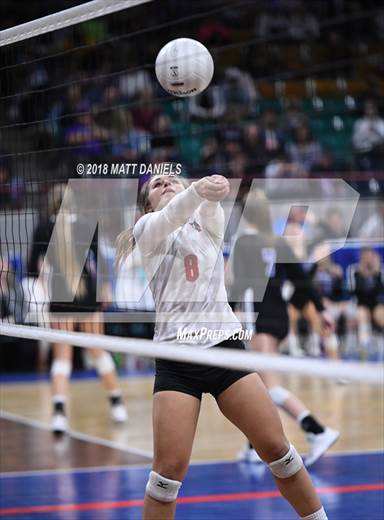 null - Photo 21