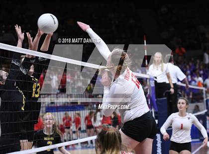 Thumbnail 1 in Yuma vs. Meeker (CHSAA 2A Semifinal) photogallery.
