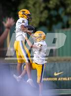 Photo from the gallery "Trenton @ Allen Park"