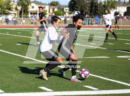 Thumbnail 3 in Enochs @ Pitman photogallery.
