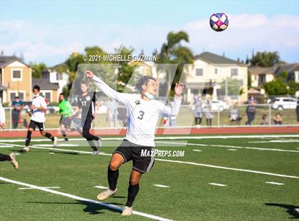 Thumbnail 1 in Enochs @ Pitman photogallery.