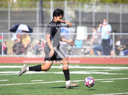 Thumbnail 3 in Enochs @ Pitman photogallery.