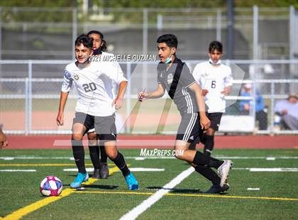 Thumbnail 1 in Enochs @ Pitman photogallery.