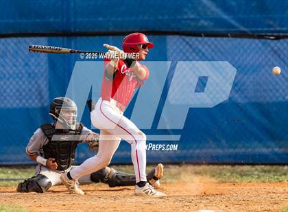 Thumbnail 1 in Ryle @ Conner photogallery.