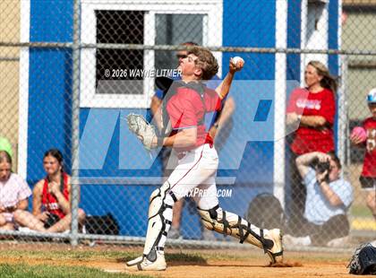 Thumbnail 1 in Ryle @ Conner photogallery.