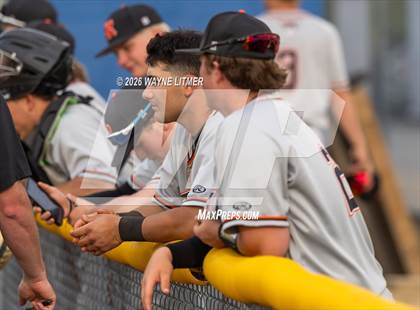 Thumbnail 1 in Ryle @ Conner photogallery.