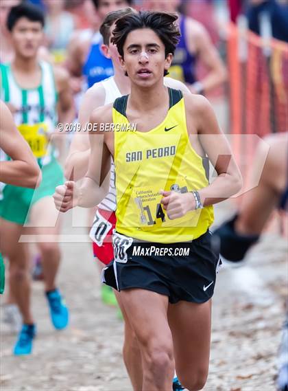 Thumbnail 3 in CIF State Cross Country Championships (Boys D1 Race) photogallery.