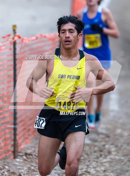 Thumbnail 3 in CIF State Cross Country Championships (Boys D1 Race) photogallery.