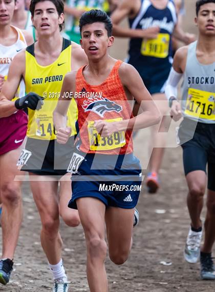 Thumbnail 1 in CIF State Cross Country Championships (Boys D1 Race) photogallery.