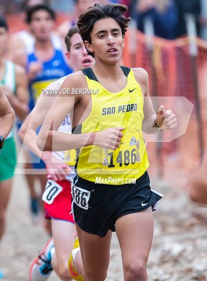 Thumbnail 1 in CIF State Cross Country Championships (Boys D1 Race) photogallery.