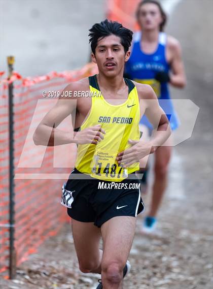 Thumbnail 2 in CIF State Cross Country Championships (Boys D1 Race) photogallery.