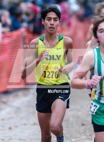 Thumbnail 1 in CIF State Cross Country Championships (Boys D1 Race) photogallery.