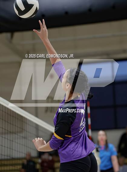 Thumbnail 3 in Columbia Central @ Central Magnet photogallery.