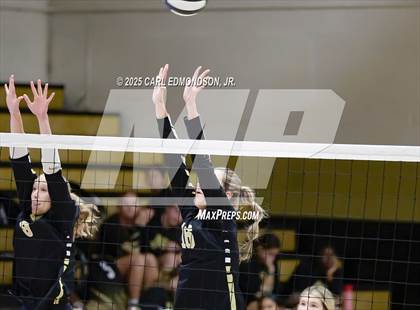 Thumbnail 1 in Columbia Central @ Central Magnet photogallery.