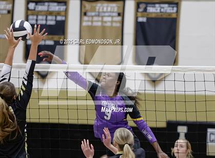 Thumbnail 2 in Columbia Central @ Central Magnet photogallery.