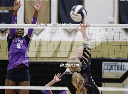 Thumbnail 3 in Columbia Central @ Central Magnet photogallery.