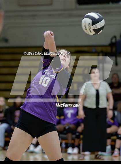 Thumbnail 3 in Columbia Central @ Central Magnet photogallery.