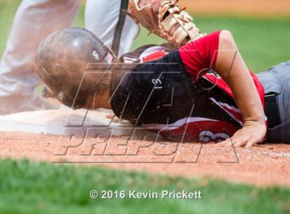 Thumbnail 1 in Fleming vs. Holly (CHSAA 1A Final) photogallery.