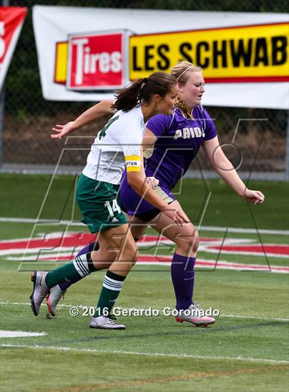 Thumbnail 1 in Argonaut vs. Bradshaw Christian (CIF SJS D6 Final) photogallery.