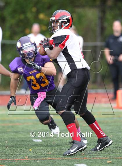 Thumbnail 2 in Bridgeport Central @ Westhill photogallery.
