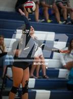 Photo from the gallery "American Leadership Academy - Gilbert North vs. Westwood  (Spiketown Invitational)"