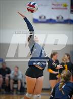 Photo from the gallery "American Leadership Academy - Gilbert North vs. Westwood  (Spiketown Invitational)"