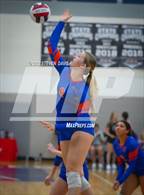 Photo from the gallery "American Leadership Academy - Gilbert North vs. Westwood  (Spiketown Invitational)"