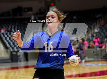 Thumbnail 3 in Lindsay vs. Windthorst (UIL 2A Final) photogallery.