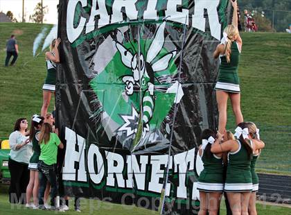 Thumbnail 1 in Carter @ South-Doyle photogallery.