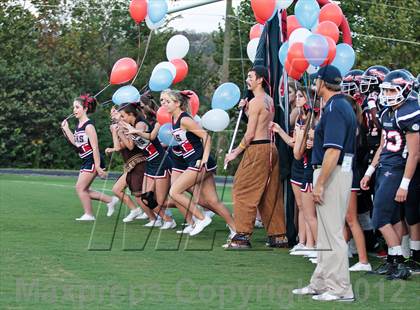 Thumbnail 1 in Carter @ South-Doyle photogallery.