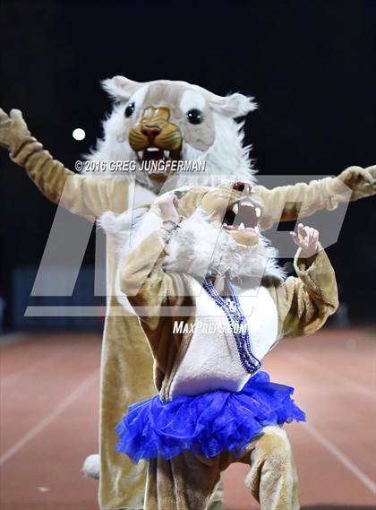 Thumbnail 2 in Marin Catholic vs. Bishop O'Dowd (CIF NCS D3 Final) photogallery.