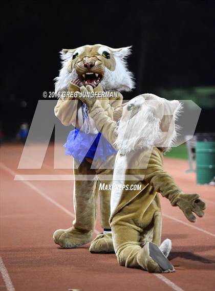 Thumbnail 3 in Marin Catholic vs. Bishop O'Dowd (CIF NCS D3 Final) photogallery.