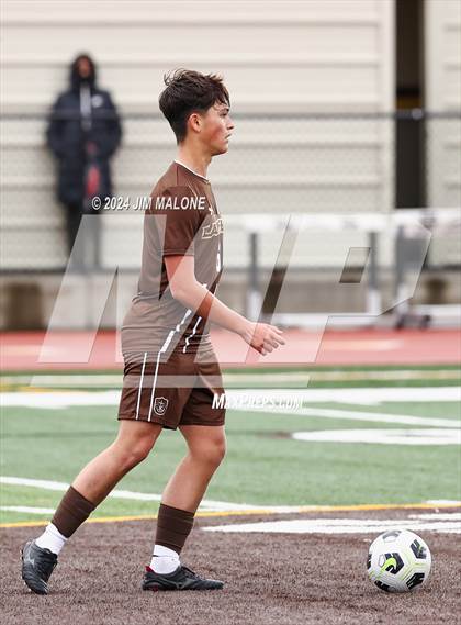 Thumbnail 2 in Lincoln @ Saint Francis (CIFCCS D1 Quarterfinals) photogallery.