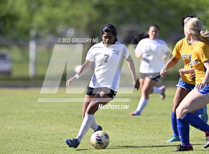 Thumbnail 2 in Panther Creek @ East Wake photogallery.