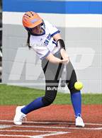 Photo from the gallery "Mount St. Mary Academy @ Kenmore West"