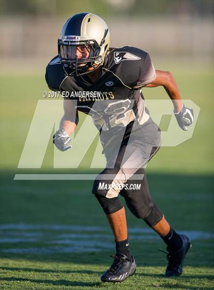 Thumbnail 1 in Natomas @ Pioneer photogallery.