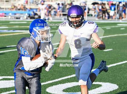 Thumbnail 1 in Tokay @ Bearcreek photogallery.