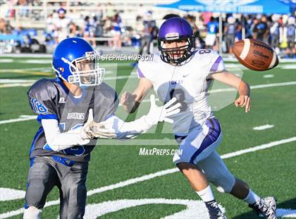 Thumbnail 3 in Tokay @ Bearcreek photogallery.