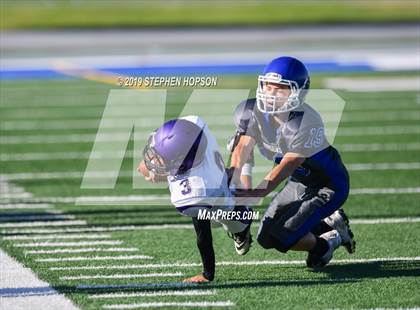 Thumbnail 1 in Tokay @ Bearcreek photogallery.