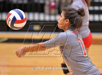 Thumbnail 3 in Lee [Robert E.] vs Johnson [Claudia Taylor] (Littleton Gym) photogallery.