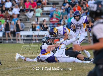 Thumbnail 3 in Mayflower @ Bigelow photogallery.