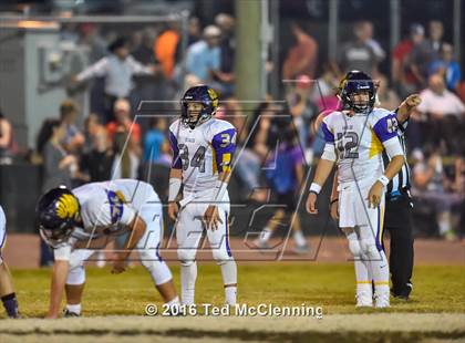 Thumbnail 3 in Mayflower @ Bigelow photogallery.